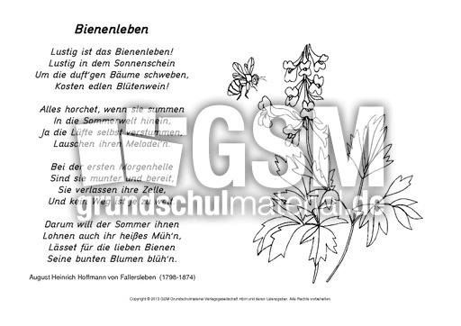 Bienenleben-Fallersleben-B-sw.pdf